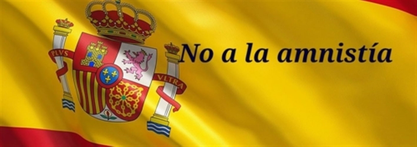 LA LEY DE AMNISTÍA SE APROBÓ FRAUDULENTAMENTE EN EL CONGRESO